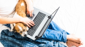 Home Office Foto iStock Sonja Rachbauer